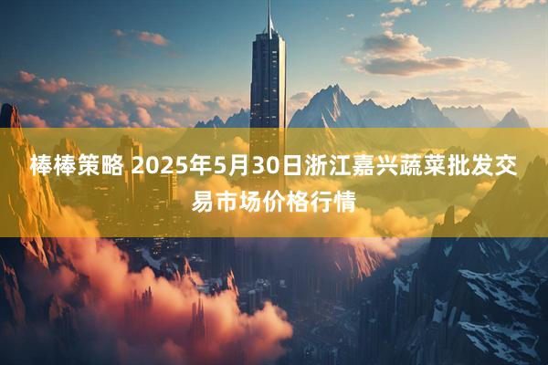 棒棒策略 2025年5月30日浙江嘉兴蔬菜批发交易市场价格行情