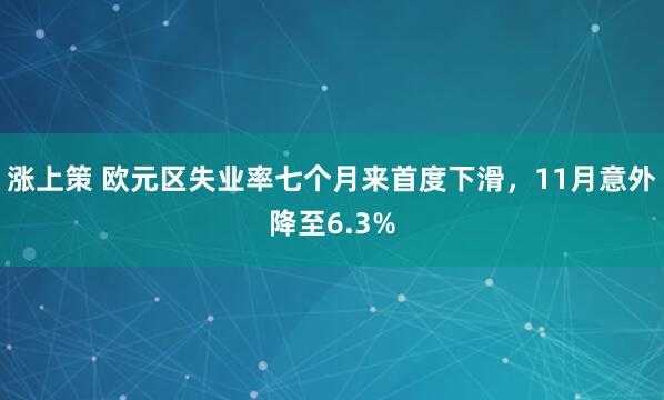 涨上策 欧元区失业率七个月来首度下滑，11月意外降至6.3%
